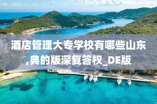 酒店管理大专学校有哪些山东,典的版深复答权_DE版