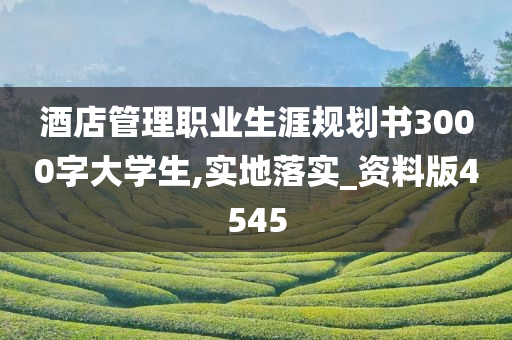 酒店管理职业生涯规划书3000字大学生,实地落实_资料版4545