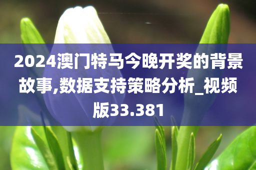 2024澳门特马今晚开奖的背景故事,数据支持策略分析_视频版33.381