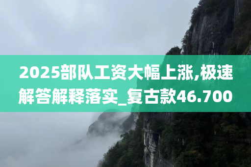 2025部队工资大幅上涨,极速解答解释落实_复古款46.700