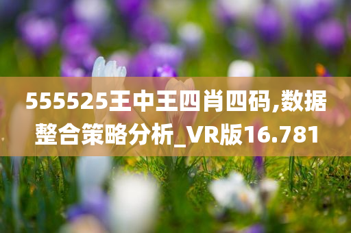 555525王中王四肖四码,数据整合策略分析_VR版16.781