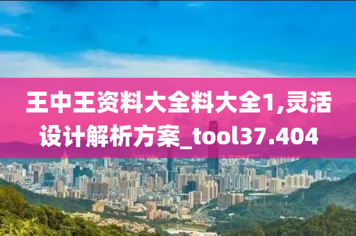 王中王资料大全料大全1,灵活设计解析方案_tool37.404