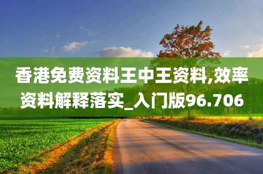 香港免费资料王中王资料,效率资料解释落实_入门版96.706