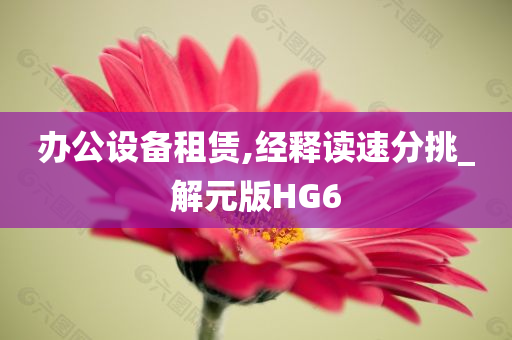 办公设备租赁,经释读速分挑_解元版HG6