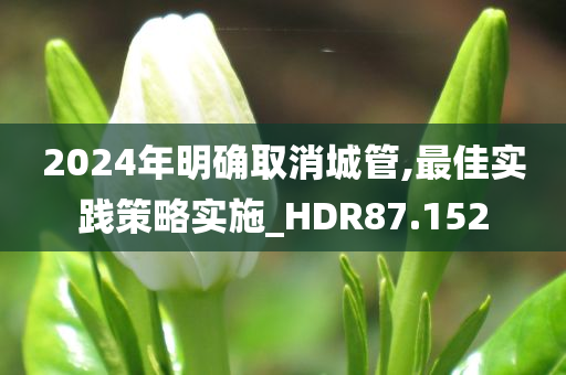 2024年明确取消城管,最佳实践策略实施_HDR87.152