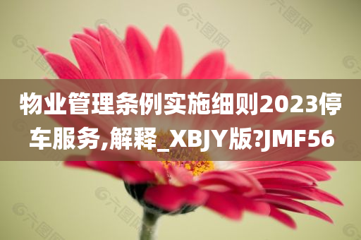 物业管理条例实施细则2023停车服务,解释_XBJY版?JMF56