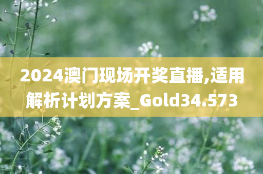 2024澳门现场开奖直播,适用解析计划方案_Gold34.573