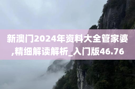 新澳门2024年资料大全管家婆,精细解读解析_入门版46.76