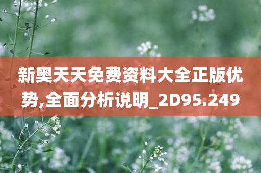 新奥天天免费资料大全正版优势,全面分析说明_2D95.249