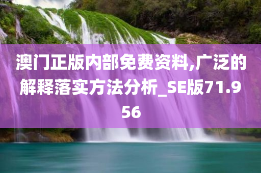 澳门正版内部免费资料,广泛的解释落实方法分析_SE版71.956