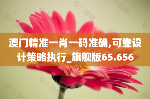 澳门精准一肖一码准确,可靠设计策略执行_旗舰版65.656