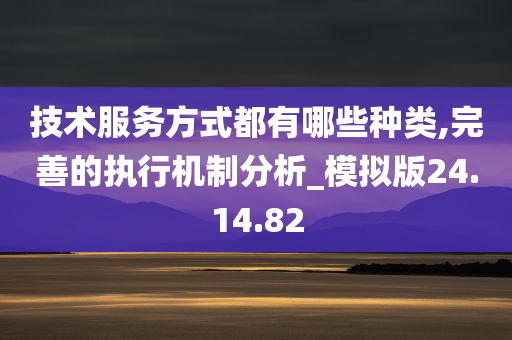 技术服务方式都有哪些种类,完善的执行机制分析_模拟版24.14.82