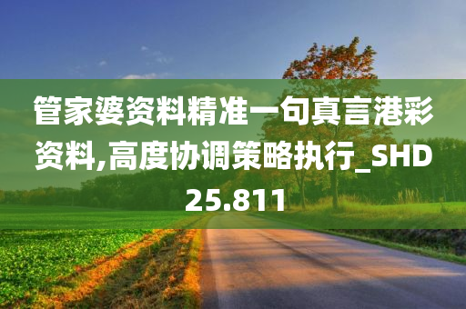 管家婆资料精准一句真言港彩资料,高度协调策略执行_SHD25.811