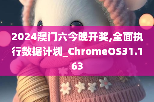 2024澳门六今晚开奖,全面执行数据计划_ChromeOS31.163