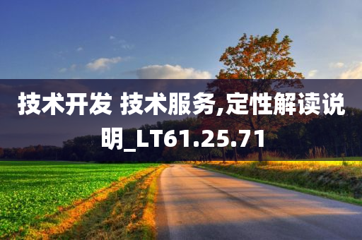 技术开发 技术服务,定性解读说明_LT61.25.71