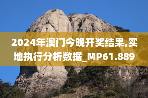 2024年澳门今晚开奖结果,实地执行分析数据_MP61.889