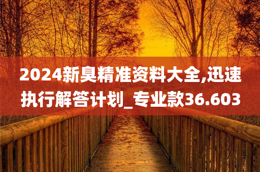 2024新臭精准资料大全,迅速执行解答计划_专业款36.603