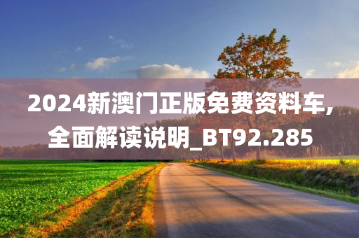 2024新澳门正版免费资料车,全面解读说明_BT92.285