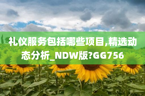 礼仪服务包括哪些项目,精选动态分析_NDW版?GG756