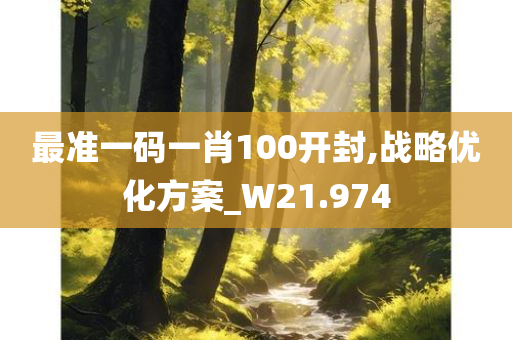 最准一码一肖100开封,战略优化方案_W21.974