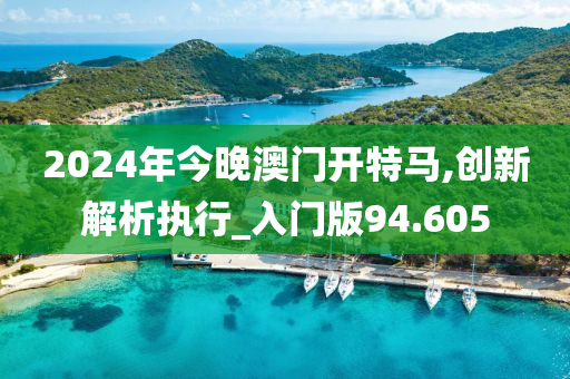 2024年今晚澳门开特马,创新解析执行_入门版94.605