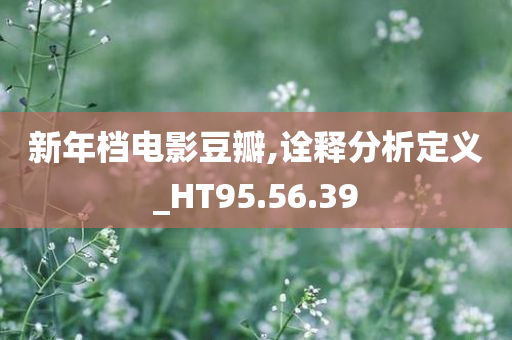 新年档电影豆瓣,诠释分析定义_HT95.56.39