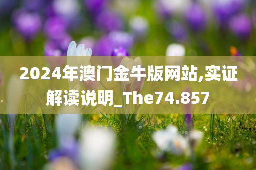 2024年澳门金牛版网站,实证解读说明_The74.857