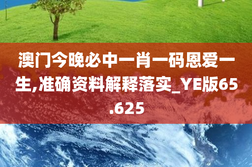 澳门今晚必中一肖一码恩爱一生,准确资料解释落实_YE版65.625