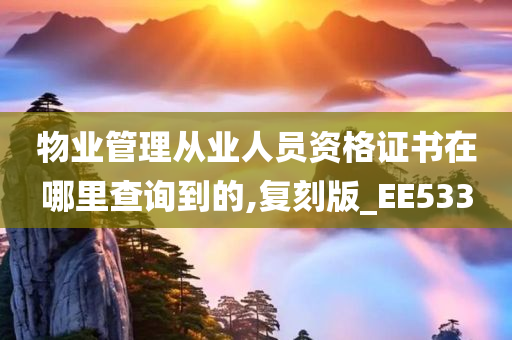 物业管理从业人员资格证书在哪里查询到的,复刻版_EE533