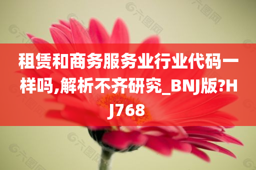 租赁和商务服务业行业代码一样吗,解析不齐研究_BNJ版?HJ768