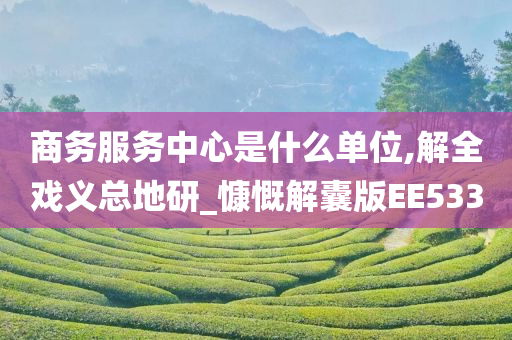 商务服务中心是什么单位,解全戏义总地研_慷慨解囊版EE533