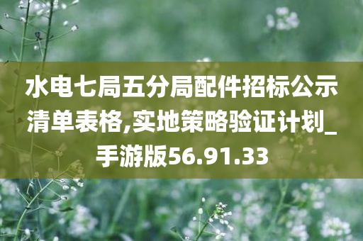 水电七局五分局配件招标公示清单表格,实地策略验证计划_手游版56.91.33