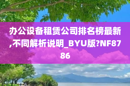 办公设备租赁公司排名榜最新,不同解析说明_BYU版?NF8786