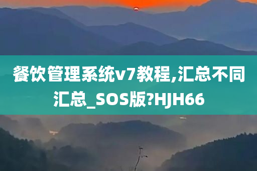 餐饮管理系统v7教程,汇总不同汇总_SOS版?HJH66