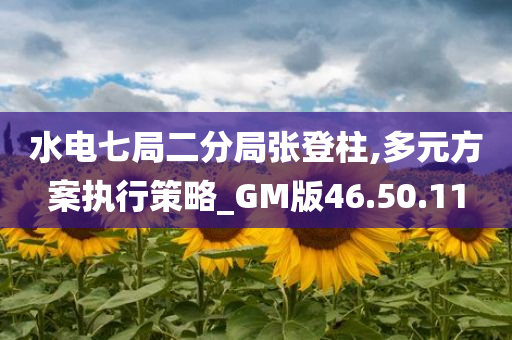 水电七局二分局张登柱,多元方案执行策略_GM版46.50.11