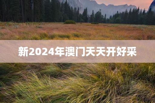 新2024年澳门天天开好采