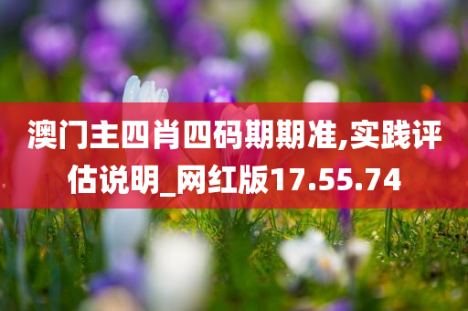 澳门主四肖四码期期准,实践评估说明_网红版17.55.74