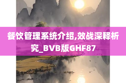 餐饮管理系统介绍,效战深释析究_BVB版GHF87