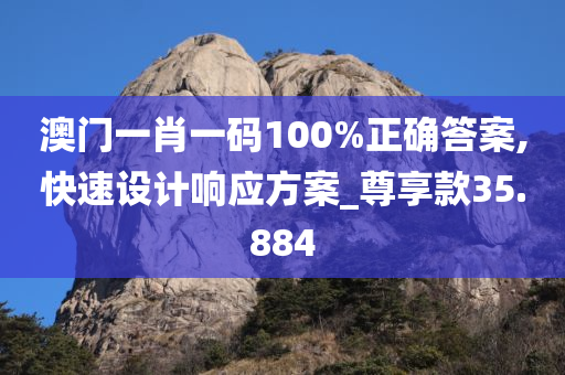 澳门一肖一码100%正确答案,快速设计响应方案_尊享款35.884