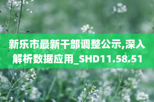 新乐市最新干部调整公示,深入解析数据应用_SHD11.58.51