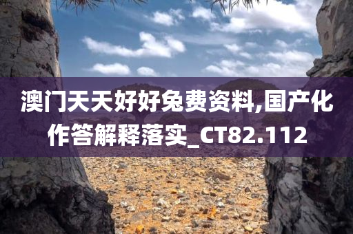 澳门天天好好兔费资料,国产化作答解释落实_CT82.112