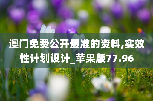 澳门免费公开最准的资料,实效性计划设计_苹果版77.96