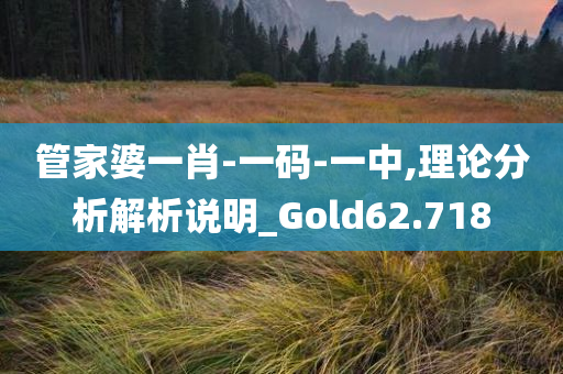 管家婆一肖-一码-一中,理论分析解析说明_Gold62.718