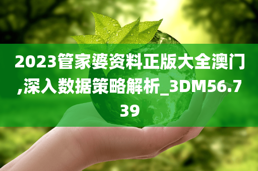 2023管家婆资料正版大全澳门,深入数据策略解析_3DM56.739