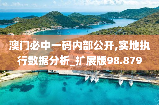 澳门必中一码内部公开,实地执行数据分析_扩展版98.879