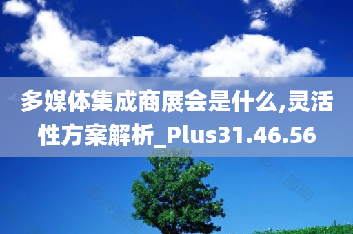 多媒体集成商展会是什么,灵活性方案解析_Plus31.46.56