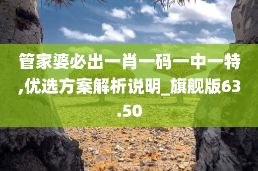 管家婆必出一肖一码一中一特,优选方案解析说明_旗舰版63.50