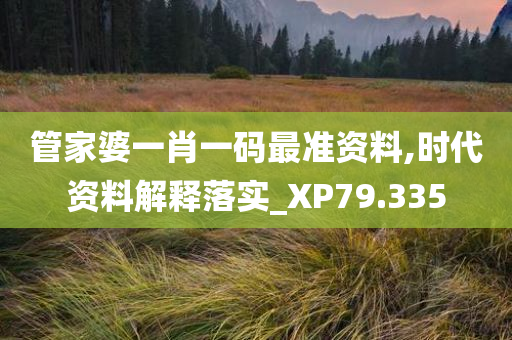 管家婆一肖一码最准资料,时代资料解释落实_XP79.335