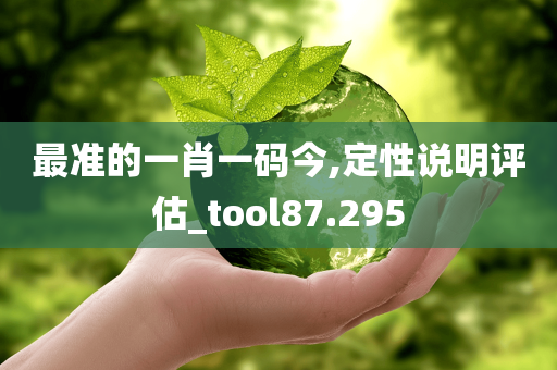 最准的一肖一码今,定性说明评估_tool87.295