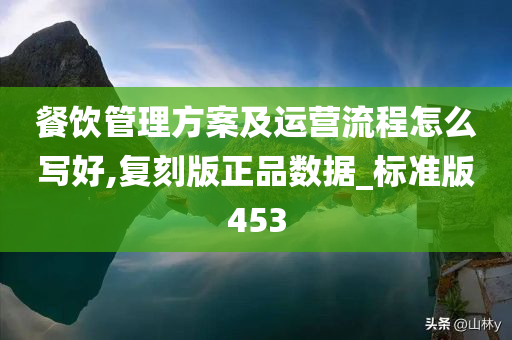 餐饮管理方案及运营流程怎么写好,复刻版正品数据_标准版453